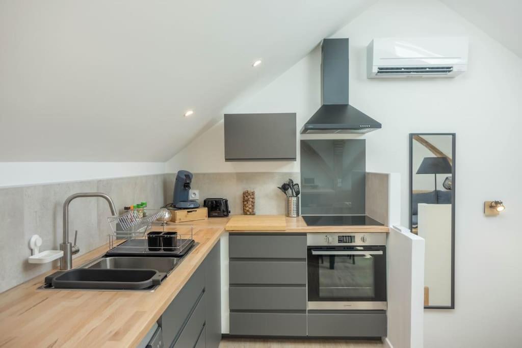 Maison/Appartement Avec Jardin Saint-Denis-en-Val Dış mekan fotoğraf